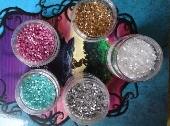 DSC01298 - Copie.JPG