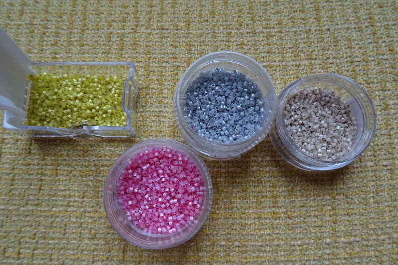 DSC01304 - Copie.JPG