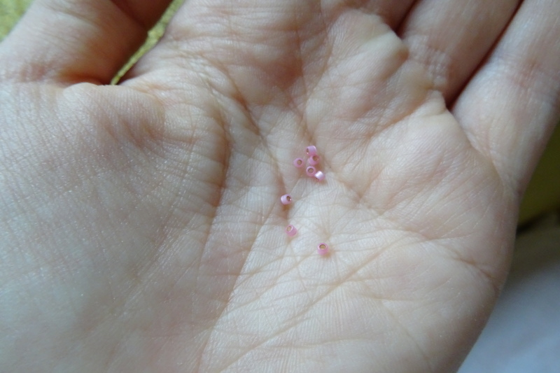 DSC01305 - Copie.JPG