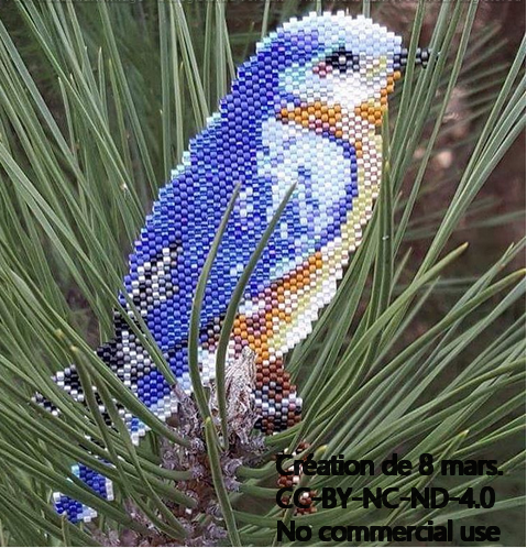 dessine moi 8 mars.PNG