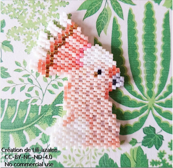 dessine moi lili azalee perroquet.PNG