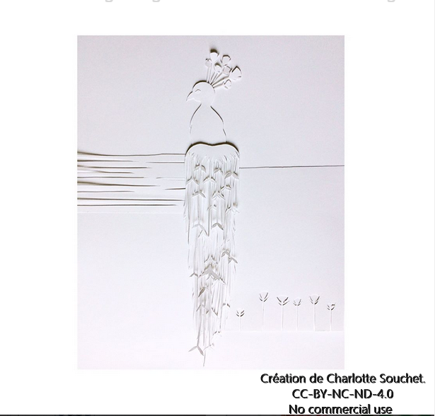 dessinemoi charlotte souchet.PNG