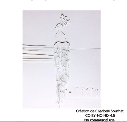 dessinemoi charlotte souchet.PNG