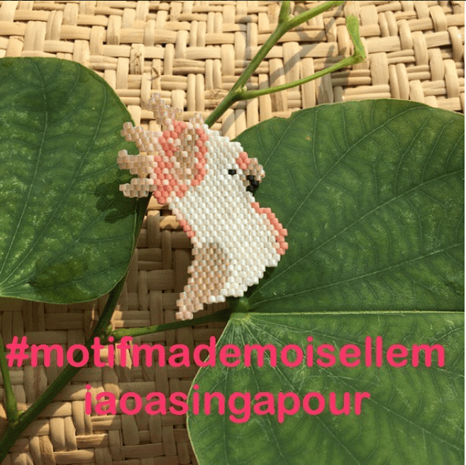 perroquet mademoisellemiao1.PNG