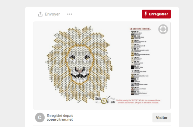 lion pinterest.PNG