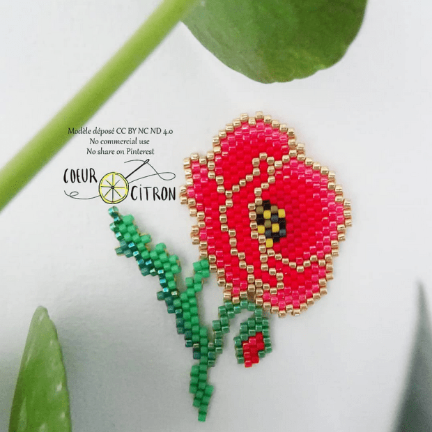 coquelicot coeur citron.PNG