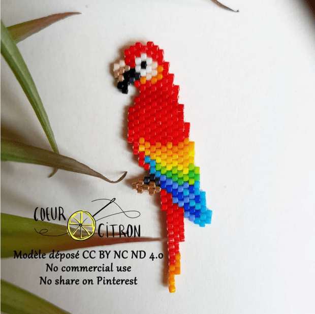 perroquet coeur citron.PNG