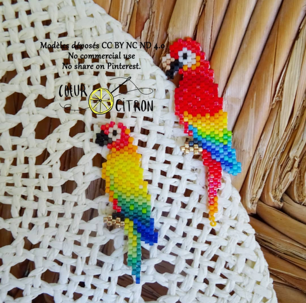 perroquets coeur citron.PNG