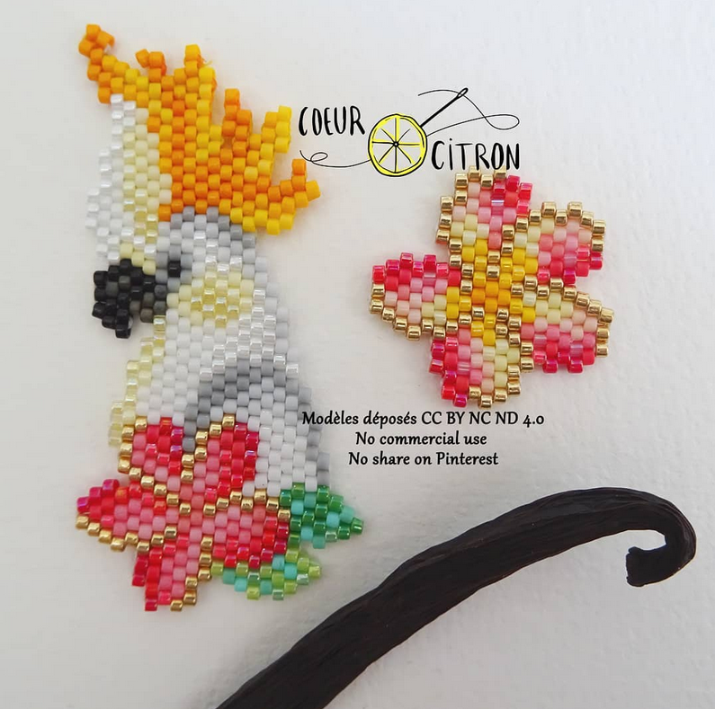 cacatoès coeur citron orange.PNG